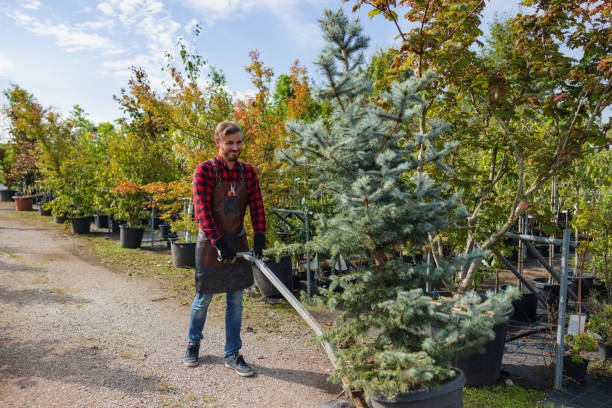 Best Soil Testing and Treatment  in Gaithersburg, MD